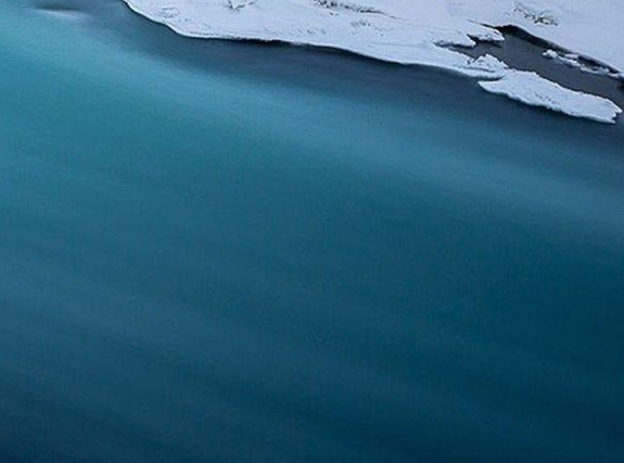 粉象生活是个什么东西