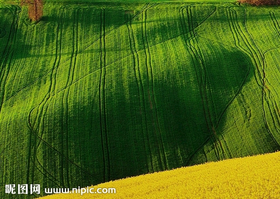 粉象生活合伙人是什么级别