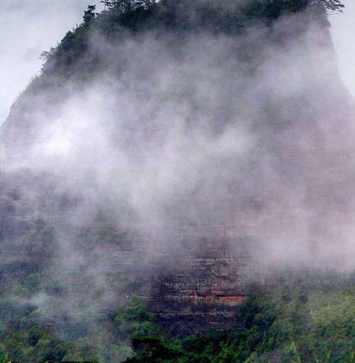 粉象生活粉丝怎么增加
