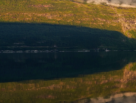 粉象生活怎么变现