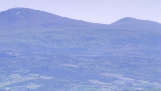 生活中常见的专利