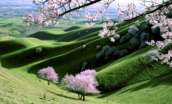 粉象生活的分享链接在哪里