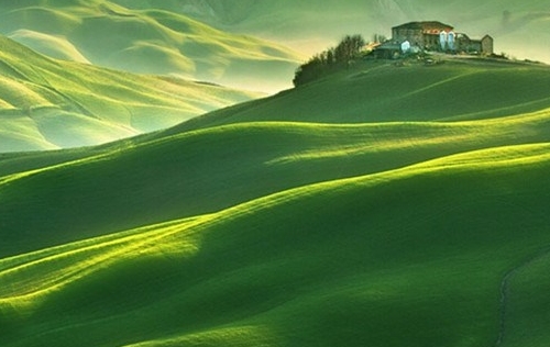 辽宁一站式粉象生活邀请人