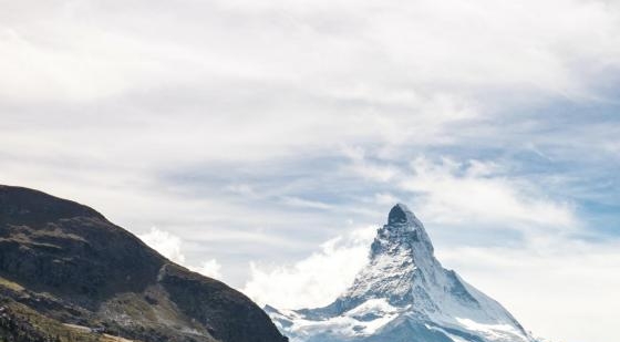 粉象生活存在保险吗