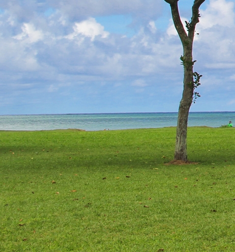 佛山粉象生活积分