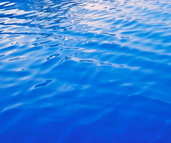 粉象生活浙江豆豆