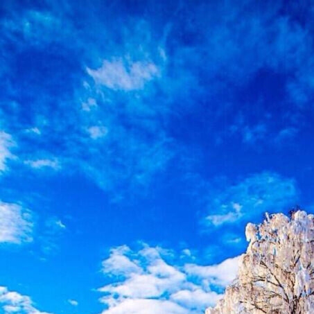 粉象生活怎么便宜