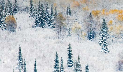 粉象生活新手怎么做