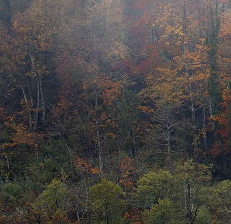 粉象生活下载app