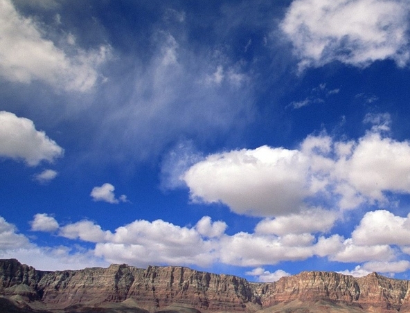 咸鱼拼多多和粉象生活
