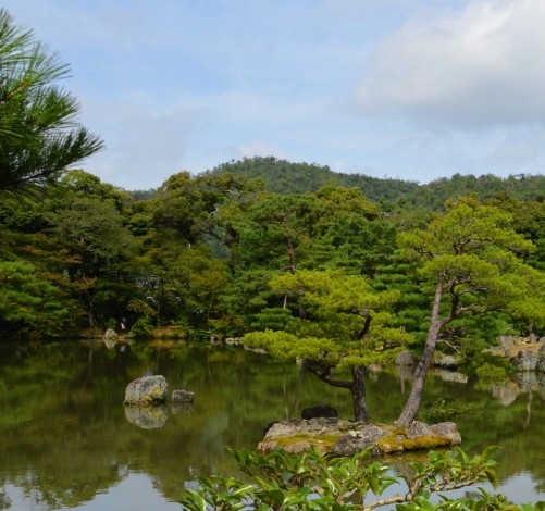 粉象生活开奖中