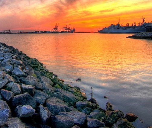 粉象生活能赚到钱吗