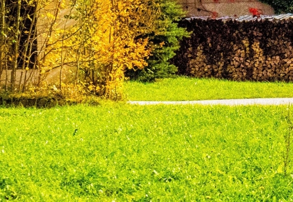 粉象生活如何选购