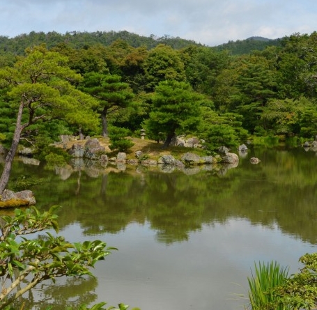 粉象生活怎么推广引流加粉丝