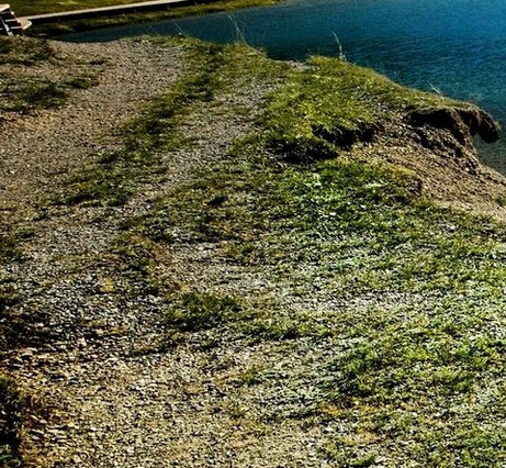 南平粉象生活电话