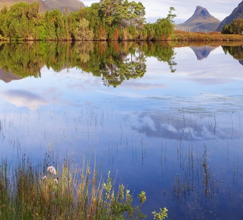 粉象生活下载app