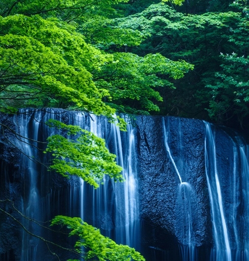 粉象生活怎么赚钱