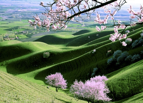 消费者联盟保护法