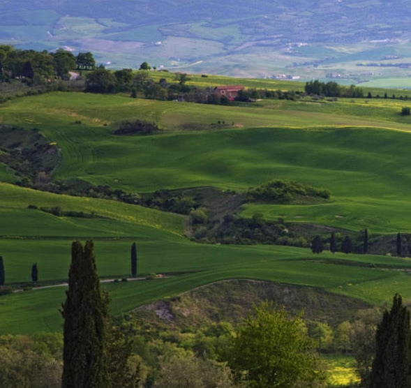 粉象生活怎么生存