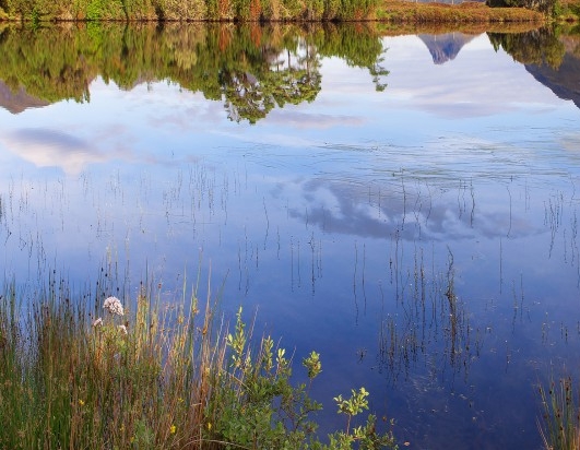 粉象生活有多少用户量