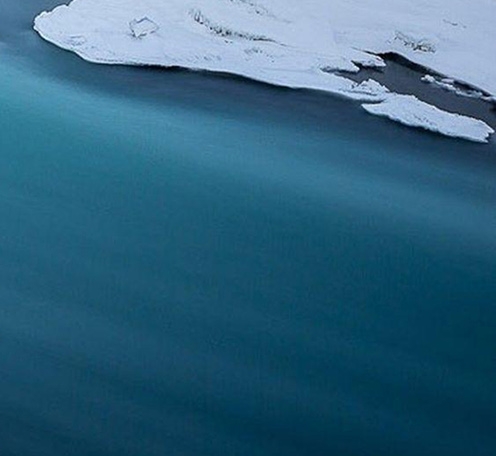 粉象生活里积分怎么兑现