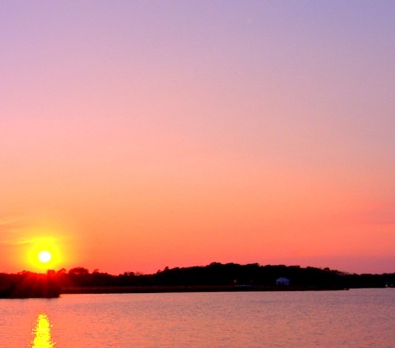 粉象生活哪里可以买东西