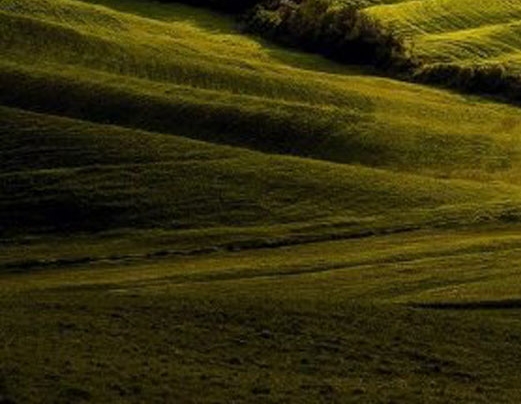 粉象生活有没有佣金