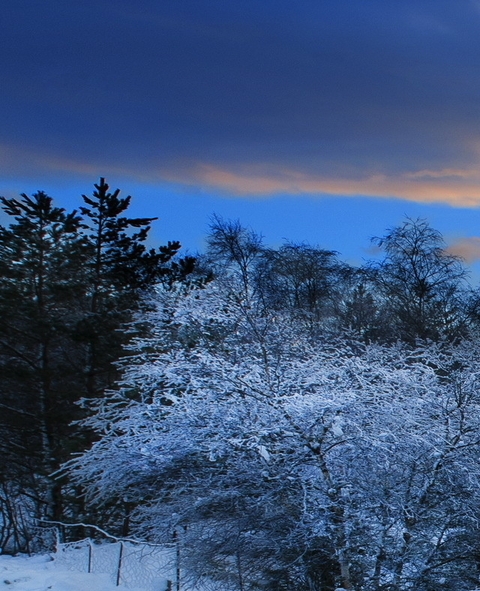 粉象生活推广的用户