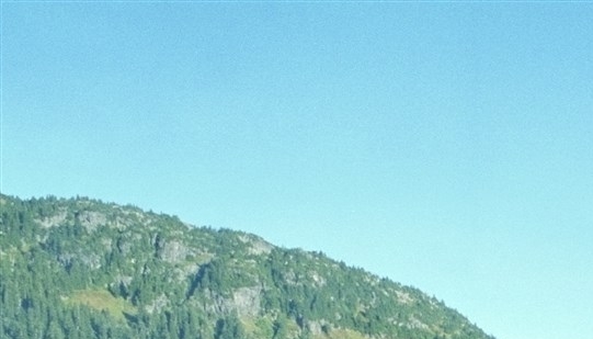 江西口碑粉象生活网站