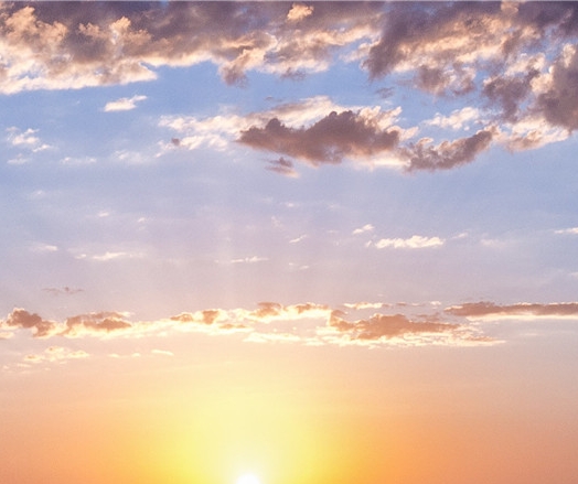 粉象生活真实收入