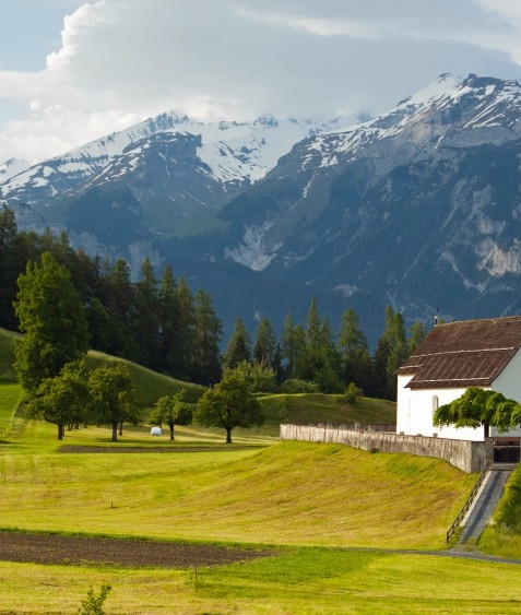 粉象生活怎么开店做淘宝