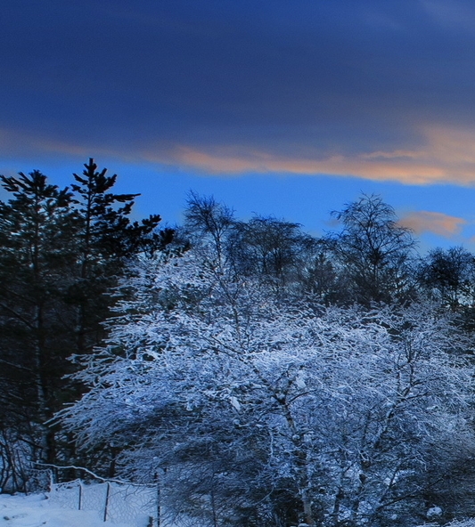粉象生活怎么更改邀请人