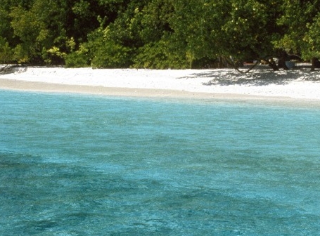 粉象生活账号注册