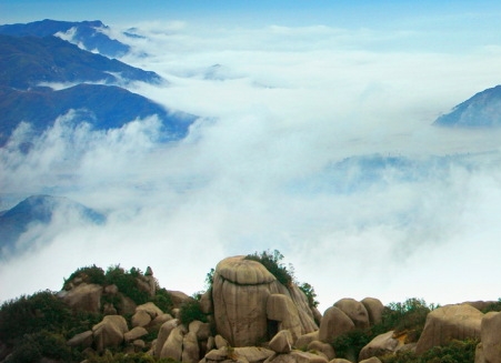 粉象生活粉丝怎么增加