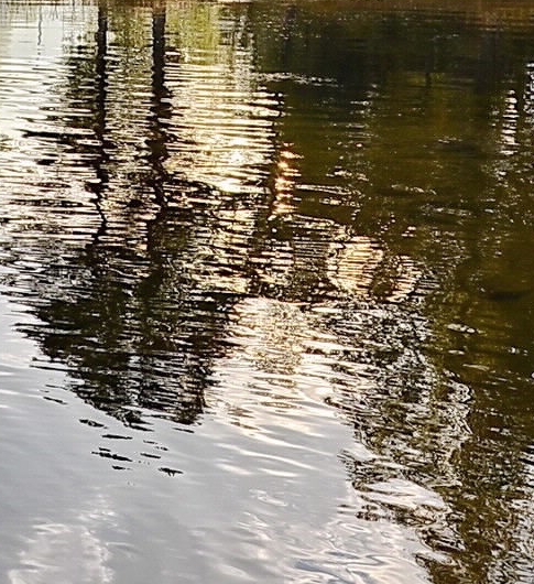 粉象生活邀请码