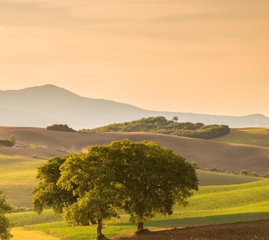 什么是粉象生活的红包