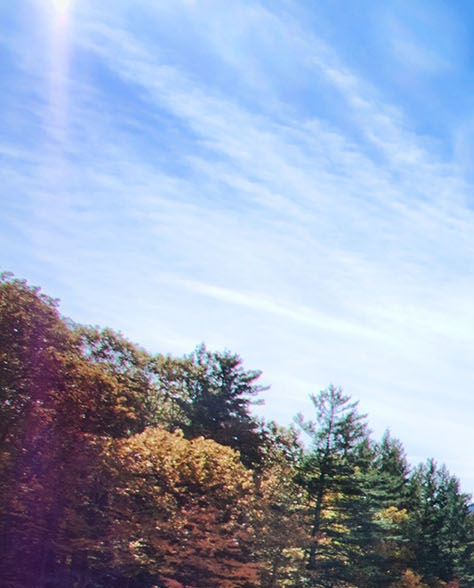 云浮粉象生活赚钱