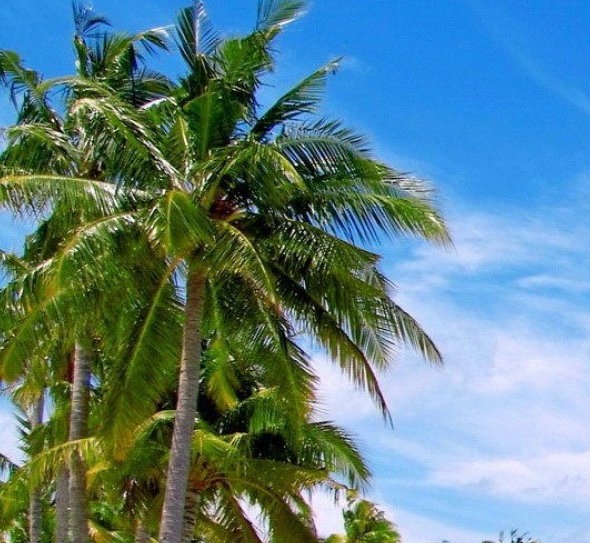 小米应用商店怎么下载