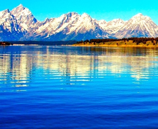 粉象生活申请失败