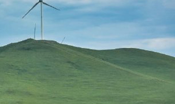 粉象生活升级后大概几天才看到收入