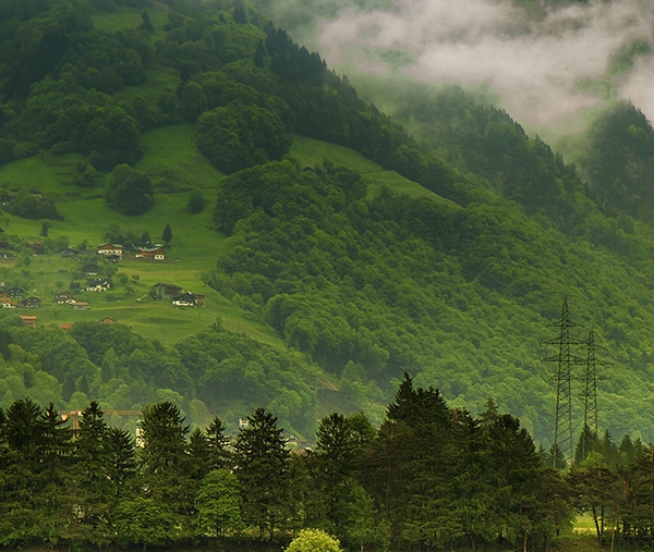 粉象生活如何找到合伙人