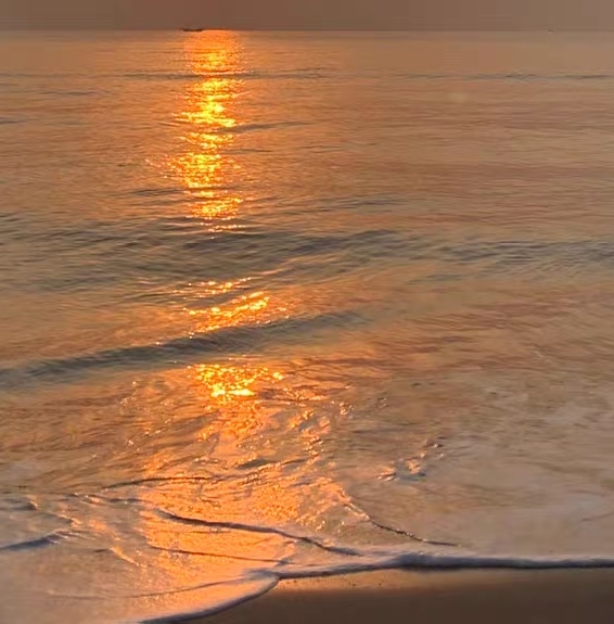 粉象生活是什么