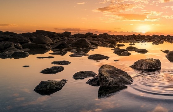 粉象生活是什么?