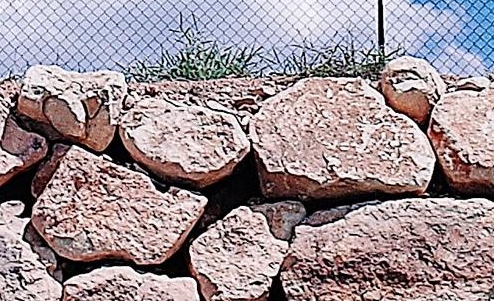 粉象啤酒为什么那么贵