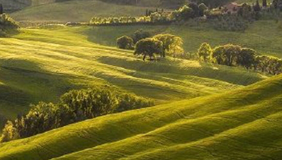 粉象生活如何添加微信