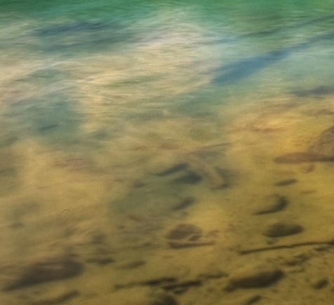 粉象生活如何加入微信