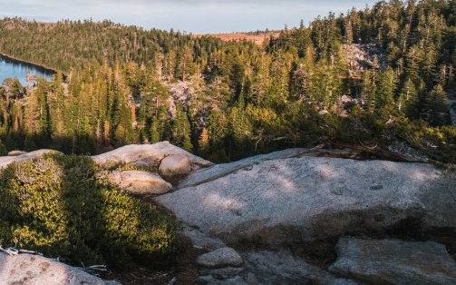 粉象生活如何更换领域