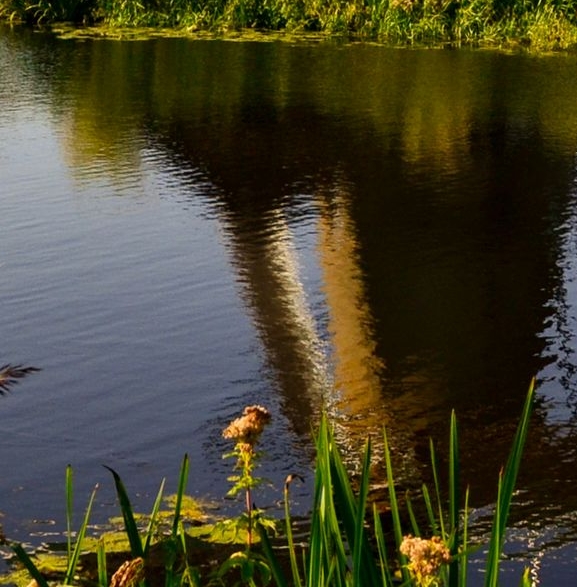 粉象生活图片 logo