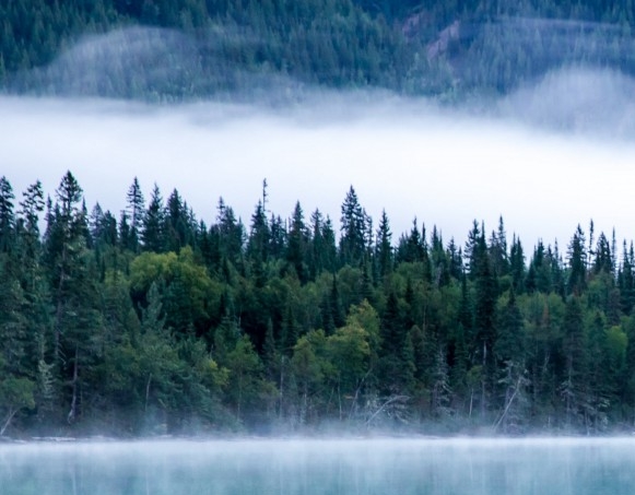 粉象生活新人注册入口