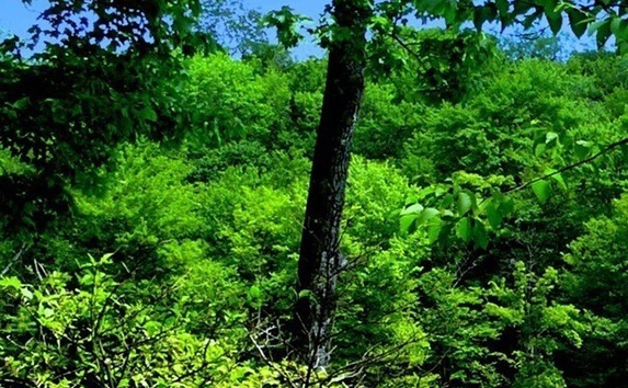 粉象生活邀请码